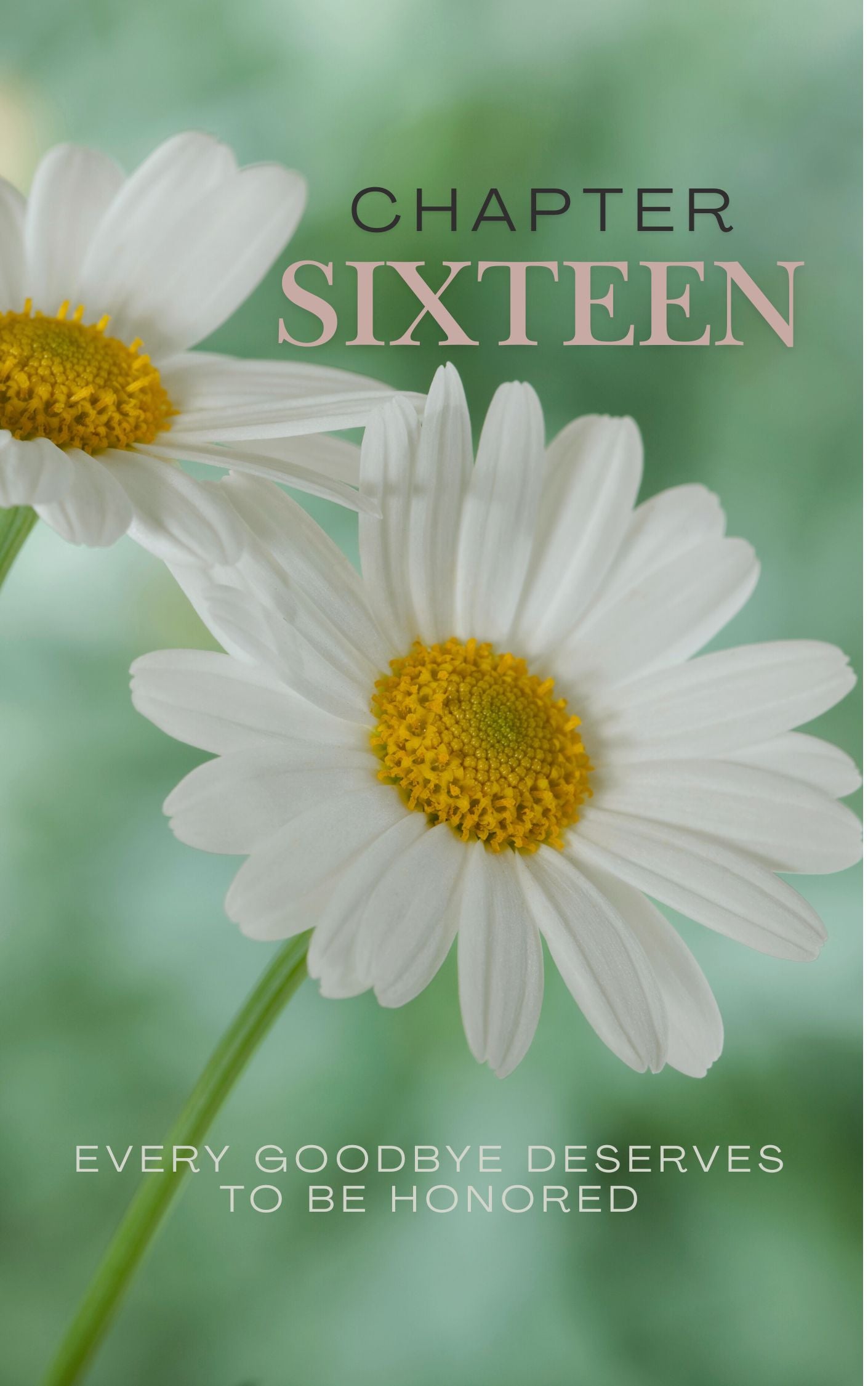 Chapter 16 – Free Tier